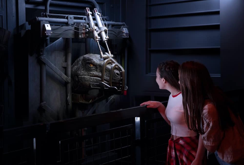 Guests meeting the animatronic Velociraptors at the VelociCoaster queue line