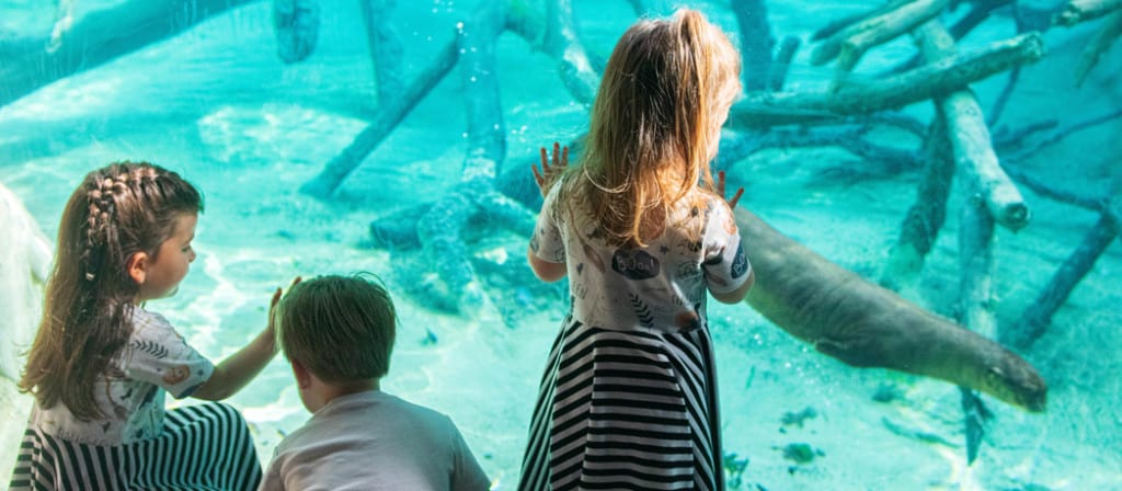 kids-at-houston-zoo