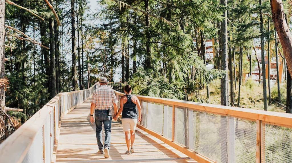 malahat skywalk