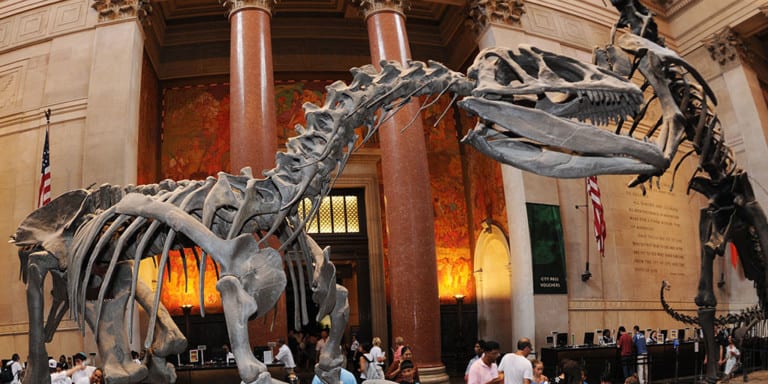 american museum of natural history
