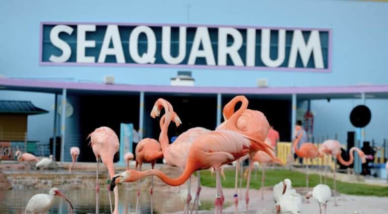 miami seaquarium