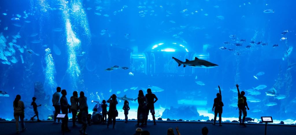 Poema del Mar Aquarium