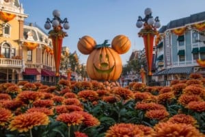 Disneyland-Halloween