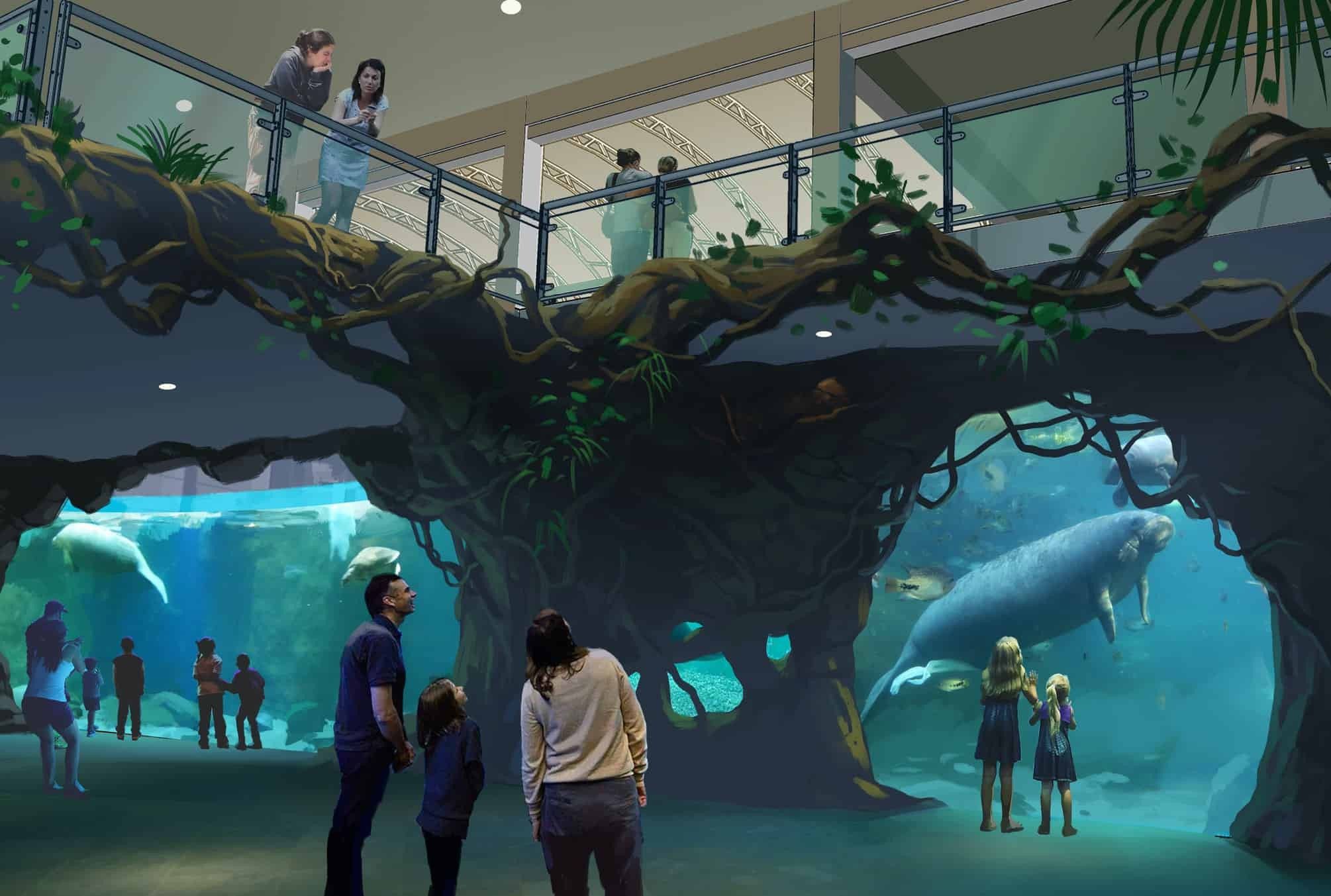 Clearwater Marine Aquarium plans 10m manatee rehab habitat blooloop