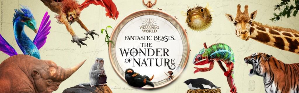 Wizarding World Fantastic Beasts and the Wonder of Nature Natural History Museum