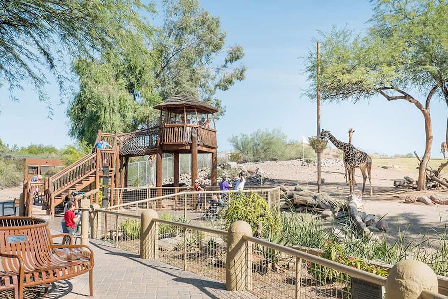 gateway-ticketing-systems-brings-galaxy-connect-to-phoenix-zoo-magnews24