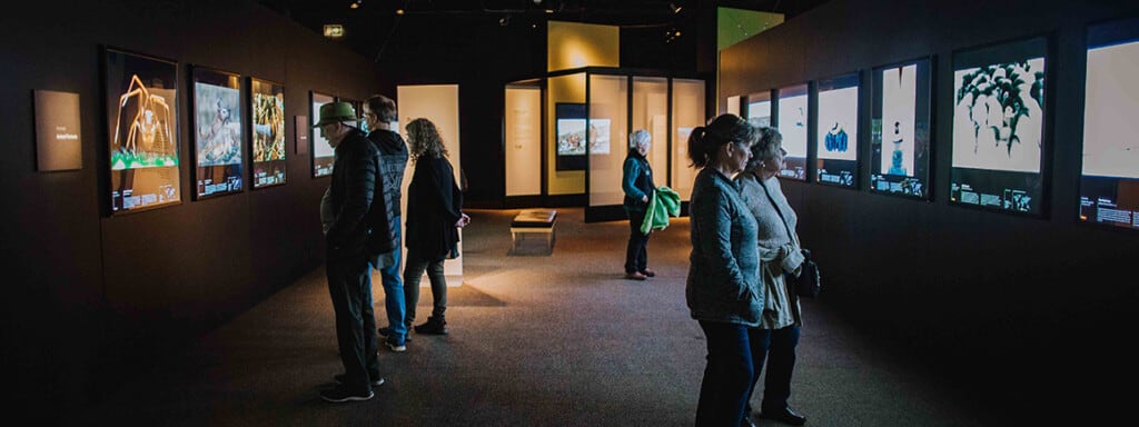Wildlife Photographer of the Year at Natural History Museum