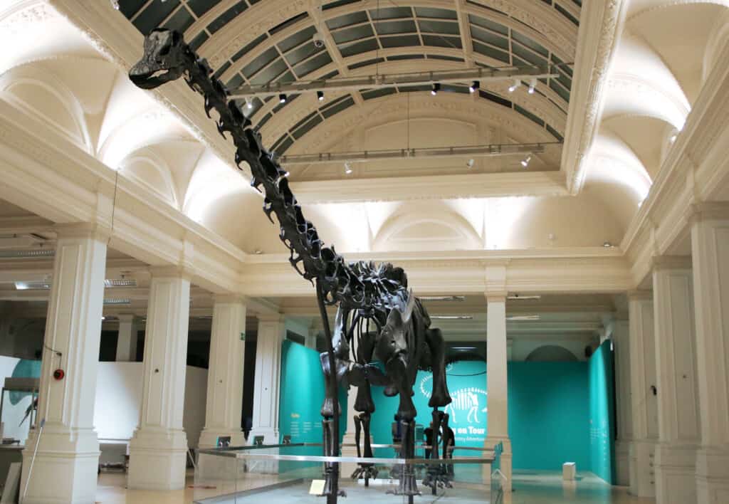 dippy the dinosaur nhm tour