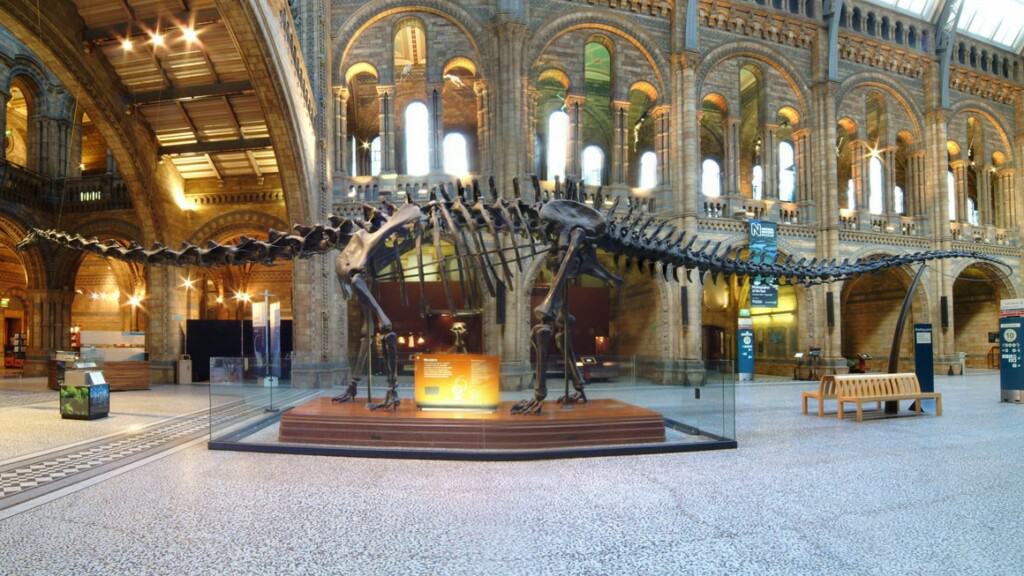 dippy the dinosaur nhm tour