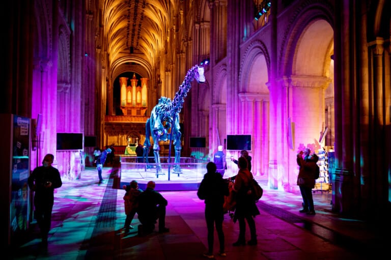 dippy the dinosaur nhm tour