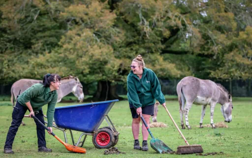 marwell zoo animal poo initiative