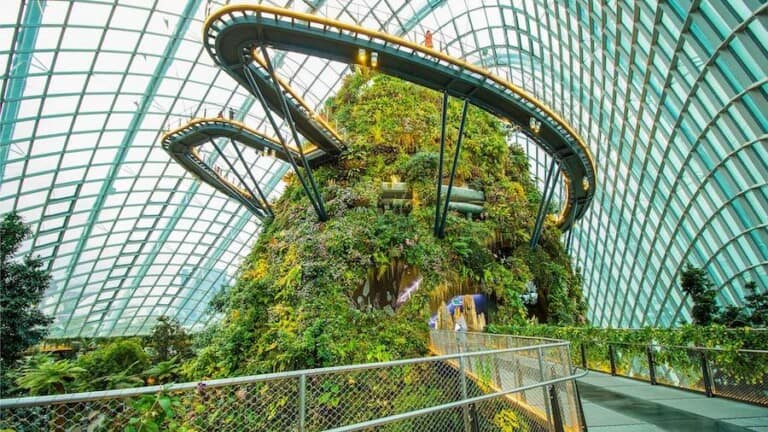 cloud-forest-singapore immersive art experiences