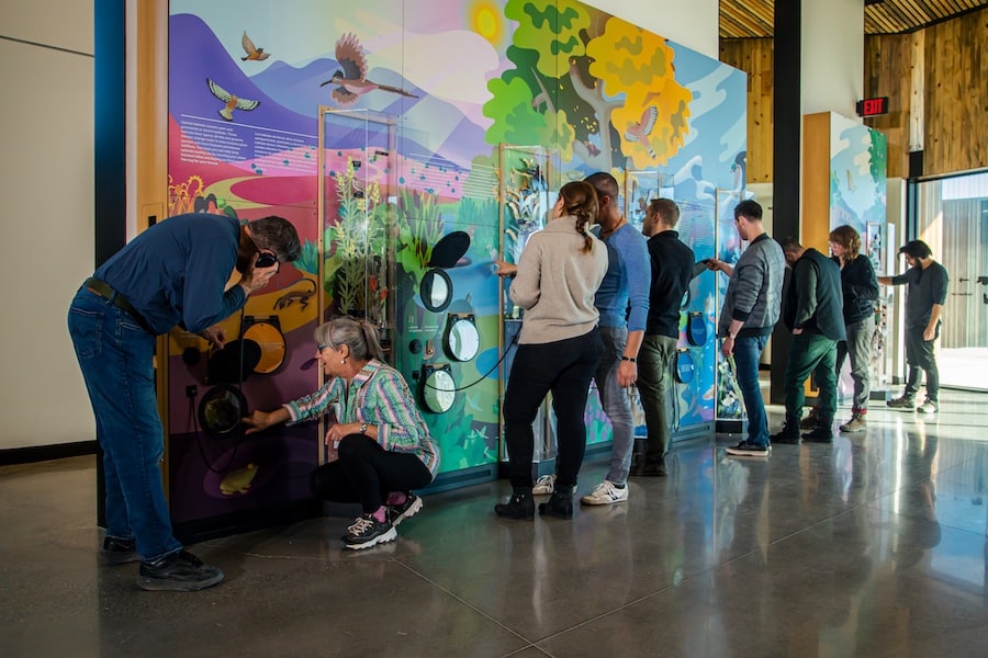 Ideum Exhibits Valle de Oro National Wildlife Refuge