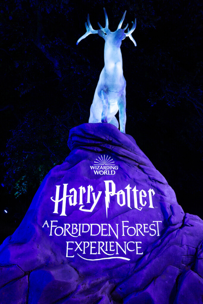 Harry Potter forbidden forest Thinkwell