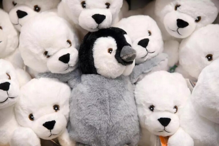 Plushies at Monterey Bay shop