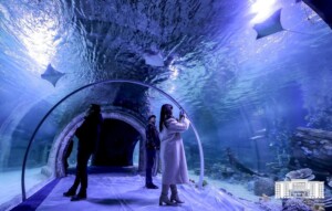 Polin Aquariums Magic Aqaurium Tunnel Uzbekistan