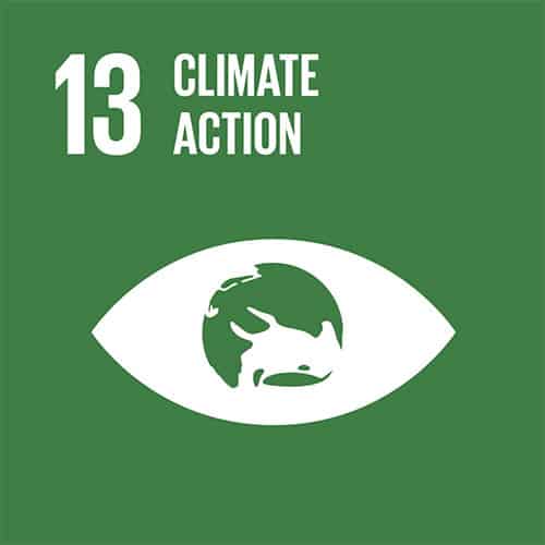 UN SDG 13 climate action