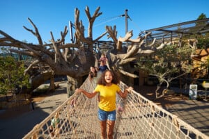 san diego zoo wildlife explorers basecamp