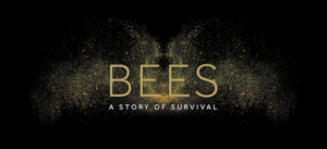 Bees a story of survival