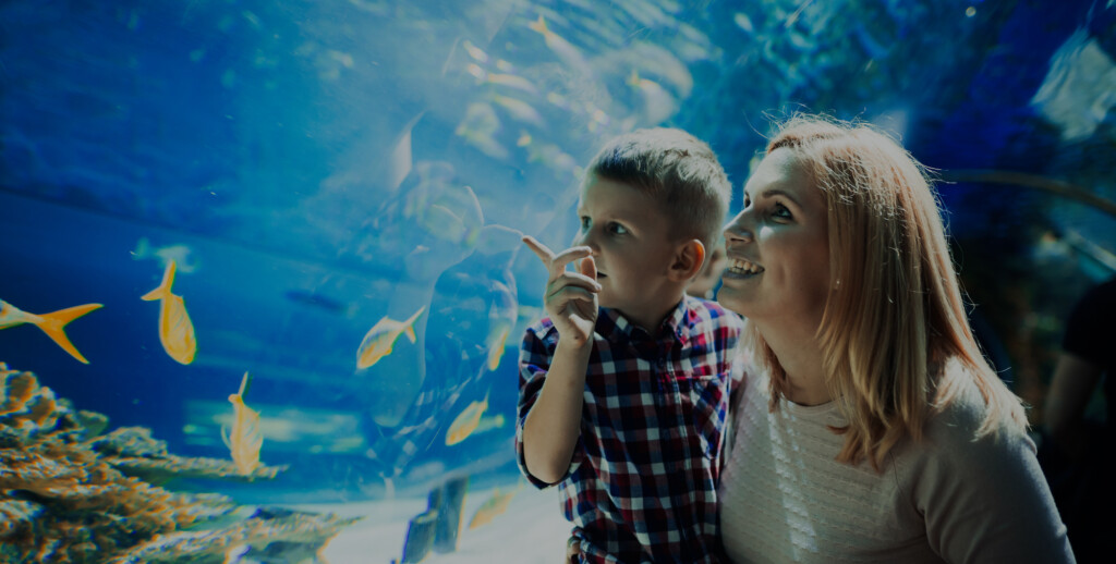 family at aquarium