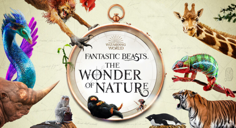 fantastic beasts the wonder of nature exhibition natural history museum