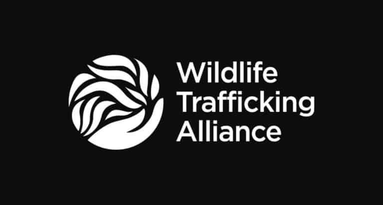 Wildlife Trafficking Alliance