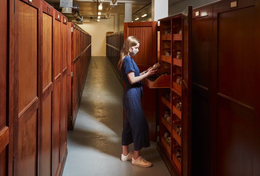 natural history museum moving specimens university of reading