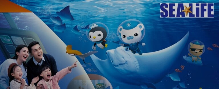 Sealife Octonauts