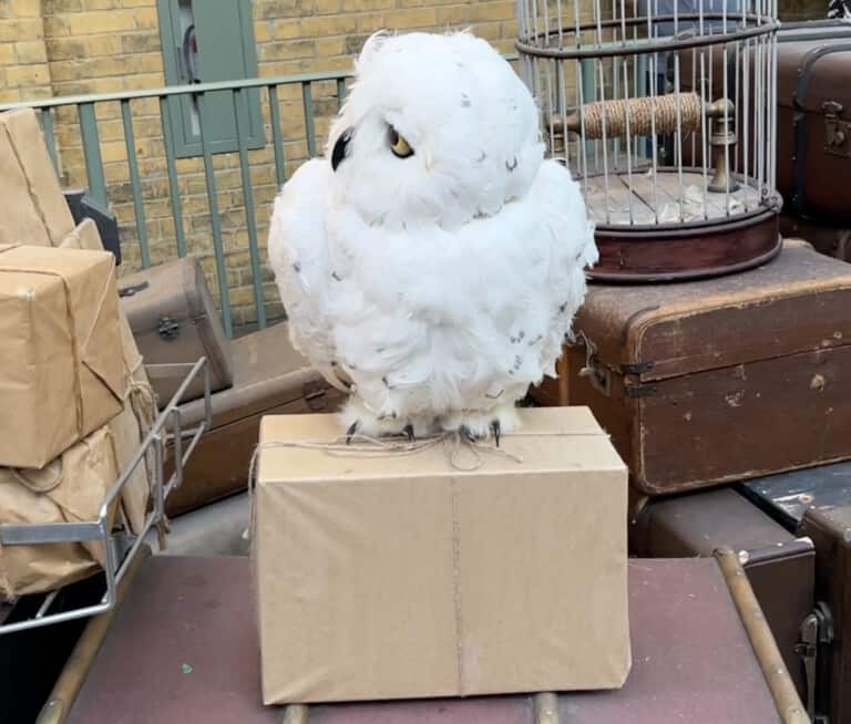 hedwig animatronic universal studios florida