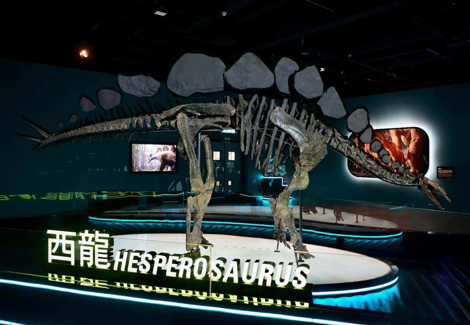Hong Kong Science Museum displays eight enormous dinosaur fossils