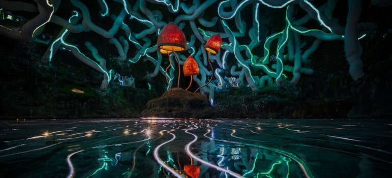 mycelium sculpture Wake the Tiger