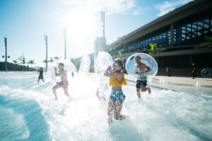 ocean park water world certified autism center