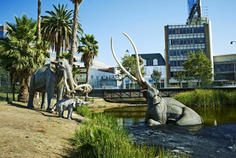 la brea tar pits