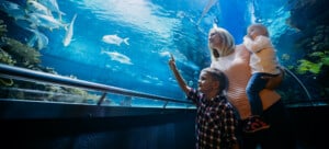 family-at-aquarium