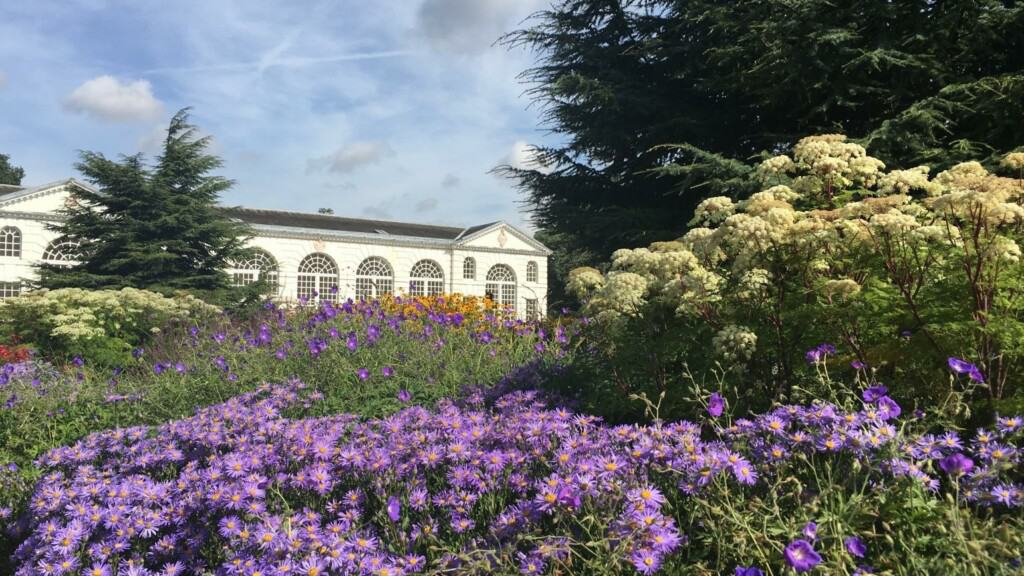 kew gardens