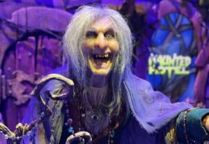 Sally Dark Rides Haunted Hotel figure