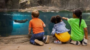 family at Maryland Zoo