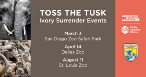 AZA toss-the-tusk_2023_