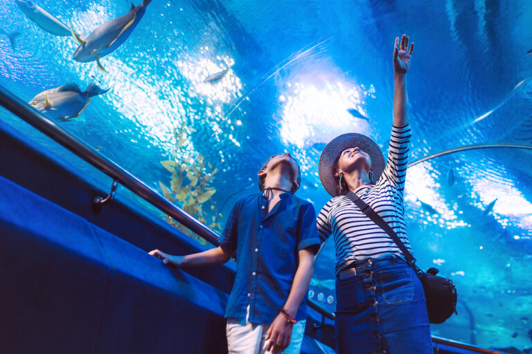 Son with his Mother watching underwater sea inhabitants in huge aquarium tunnel, showing an interesting to each other