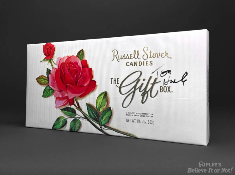 ripley's forrest gump chocolate box