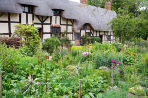 Ann Hathaway's Cottage Shakespeare Birthplace Trust