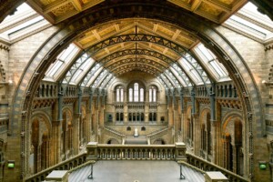 natural history museum