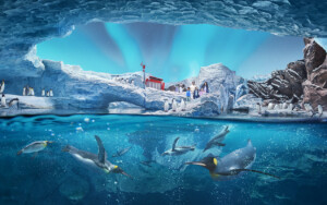 seaworld abu dhabi antarctica