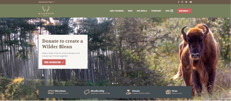Semantic Wildwood Trust website
