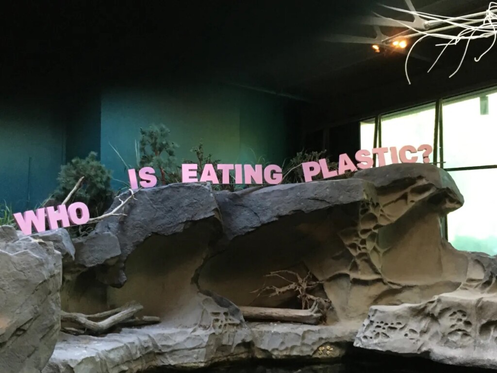 Environment & Culture Partners vancouver aquarium plastic