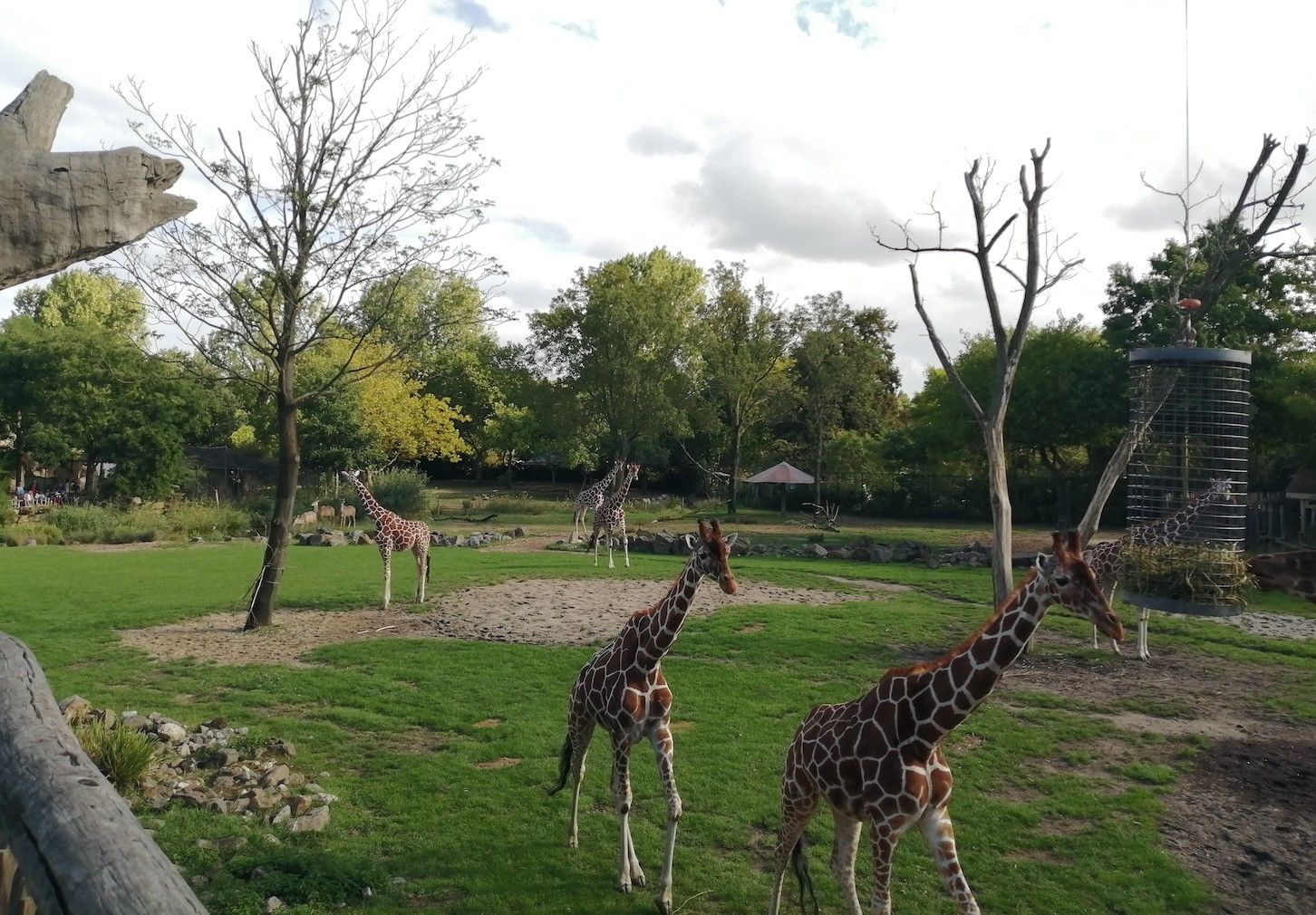 Top zoos and aquariums Europe 17 of the best blooloop