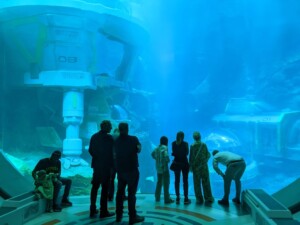 visitors at endless ocean aquarium