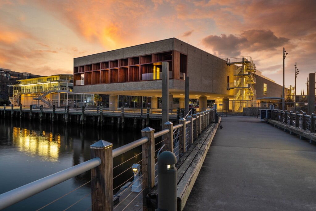 international african american museum