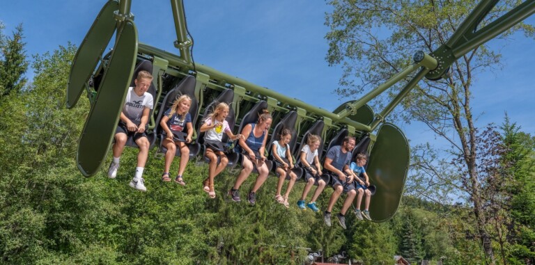 Wild Swing Fantasiana