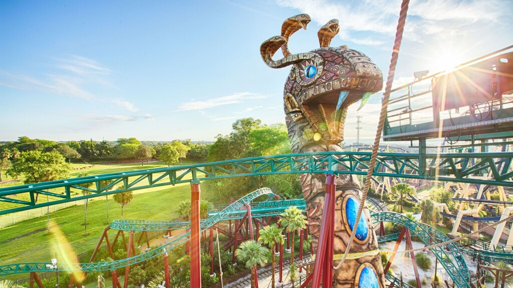 Cobras Curse roller coaster at Busch Gardens Tampa Bay